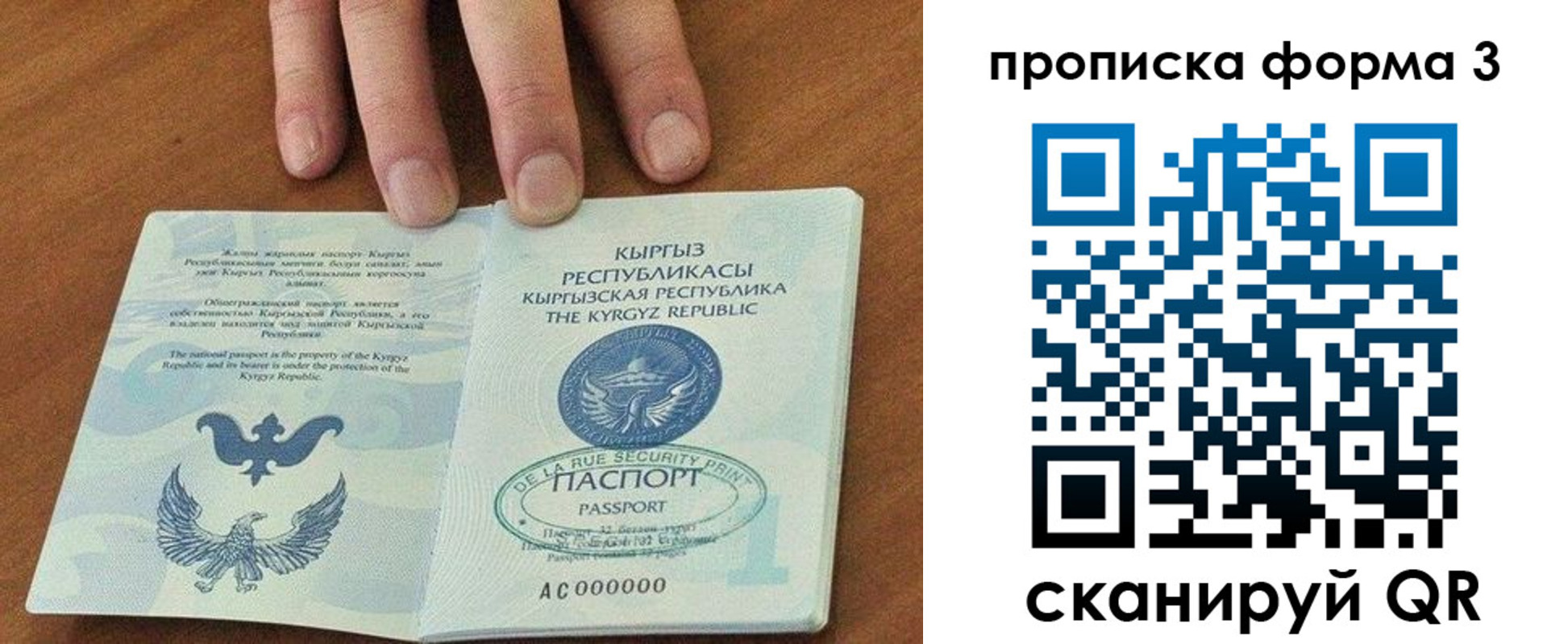прописка 2025 в Камызяке